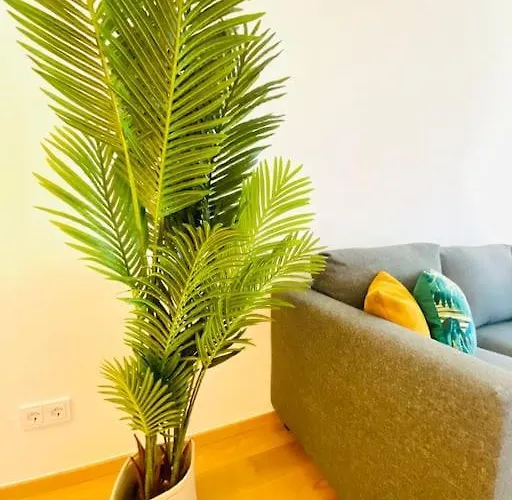 Apartment Luxury Brand New Flat With Terrace & Parking - Rtl1 *